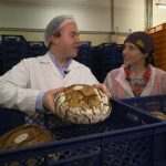 Brot von der Bäckerei Felber